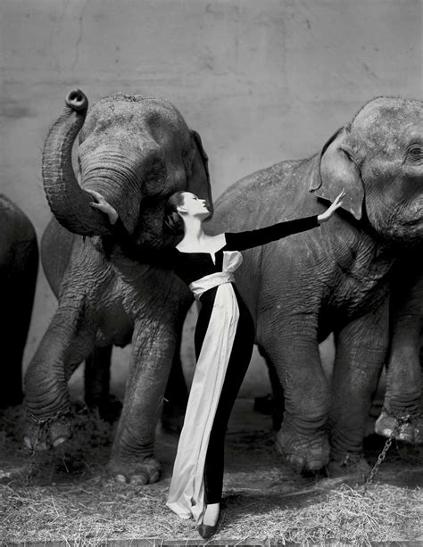 dovima with elephants dior